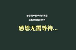 英雄联盟总决赛门票-沙漠与雨林的碰撞，格列兹曼的铁血之夜—2026世界杯D组哥斯达黎加VS阿联酋战记