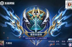 英雄联盟总决赛直播-王者荣耀选手发挥出色，荣膺最佳MVP的简单介绍