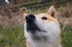 英雄联盟总决赛时间-风暴眼的宁静，凯塞多的无声教材