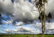 英超锋刃出鞘！葡萄牙绝境逢生，C罗任意球绝杀书写关键一胜！