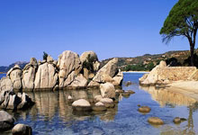 红蓝烽火：利物浦铁蹄踏破斗牛士，奥运战场暗涌三重杀机