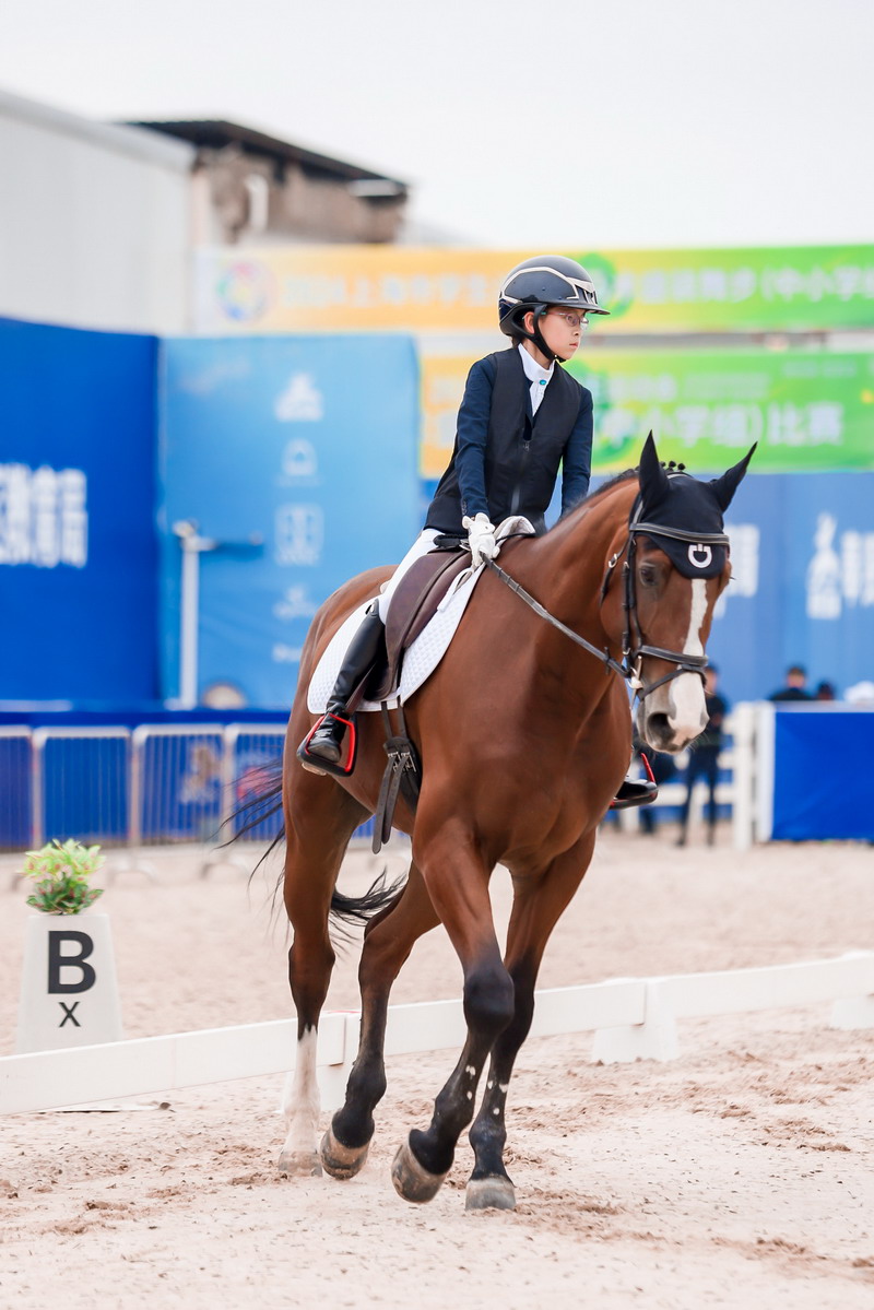 骑马比赛场面壮观，选手技法娴熟