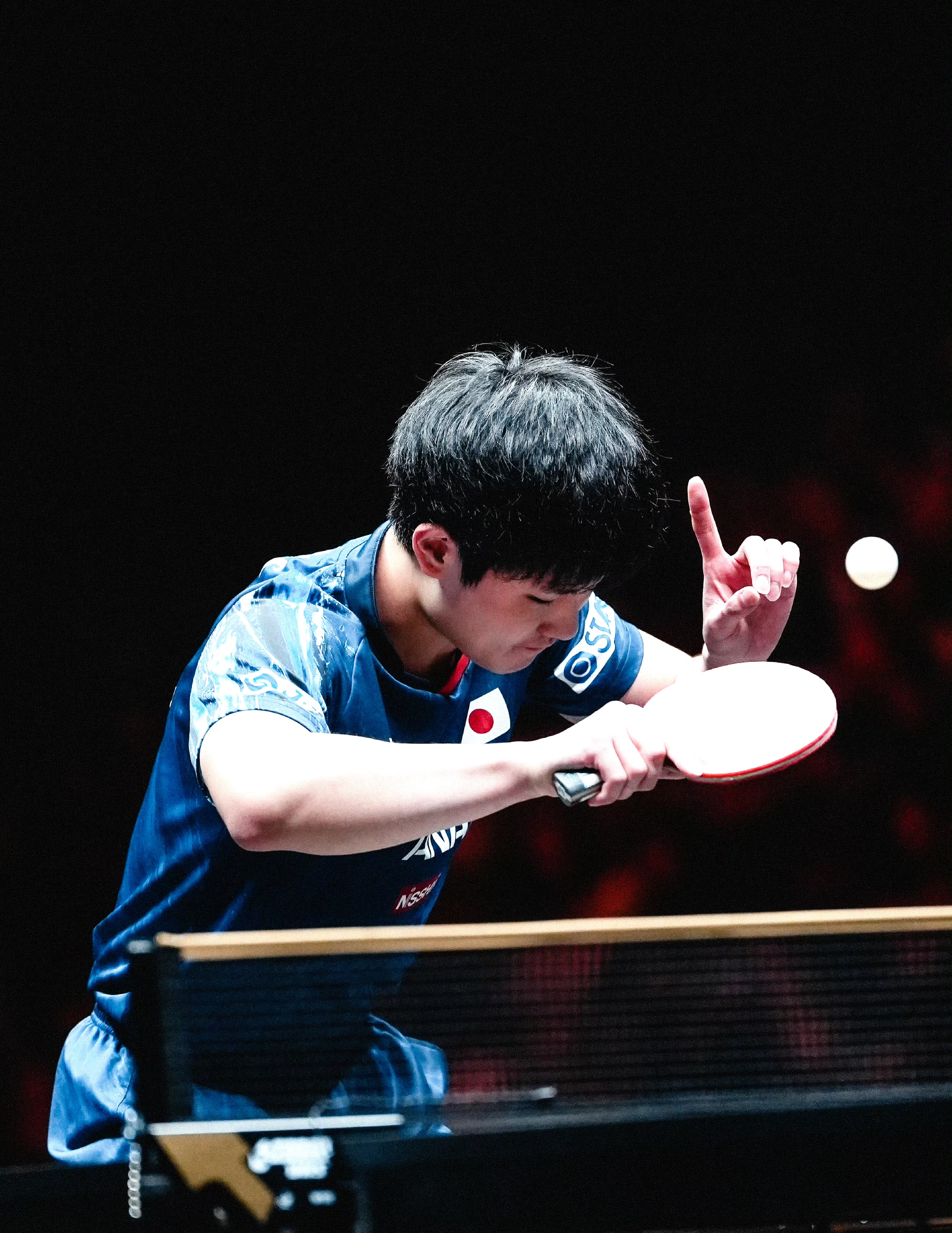 韩国队力克奥地利队，张本智和高光表现的简单介绍