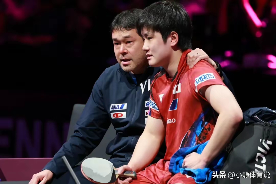 波兰队力克葡萄牙队,张本智和扛起全队 波兰队力克葡萄牙队,张本智和扛起全队