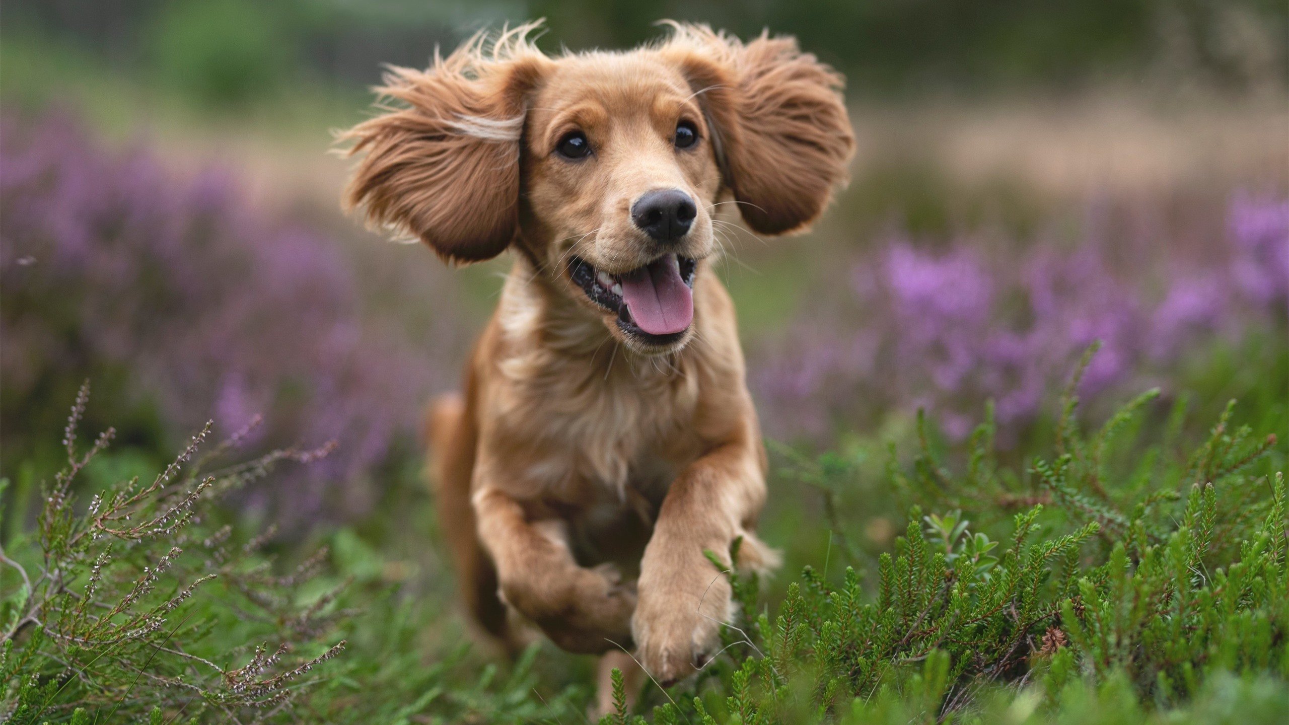 三分钟,从罪人到英雄,李刚仁的救赎之路
