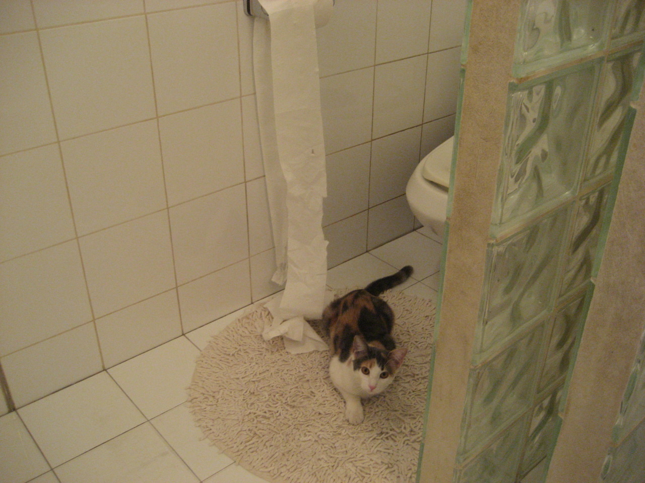 孤星难耀，当哈利伯顿的45分传奇之夜遇上深圳队的集体逆袭