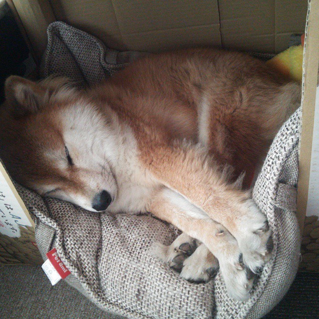 基米希上演中场统治级表演，德国力克沙特，全场最佳无争议