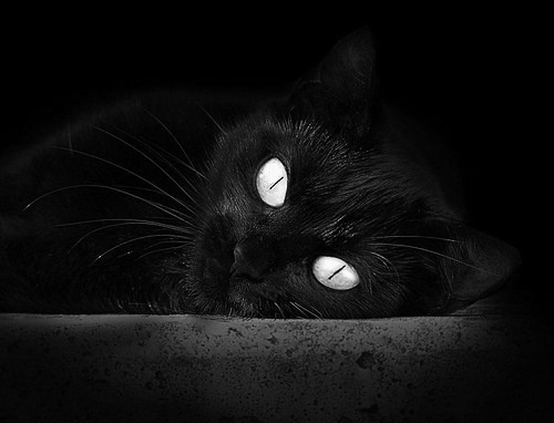 寒冬斩独行侠!德罗赞孤注一掷化身雄鹿关键先生