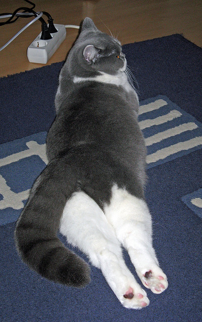 南美桑巴与德甲铁骑，一场一波带走的战术启示