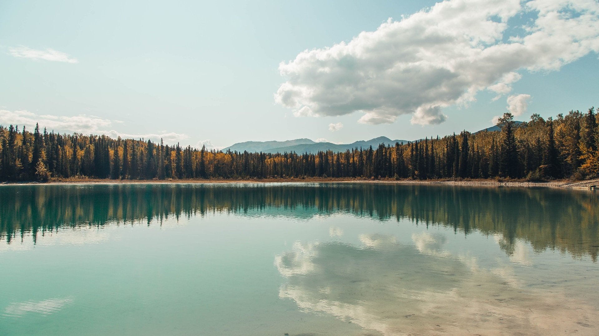 灵魂与节拍器，米切尔的西决生死战节奏诗篇