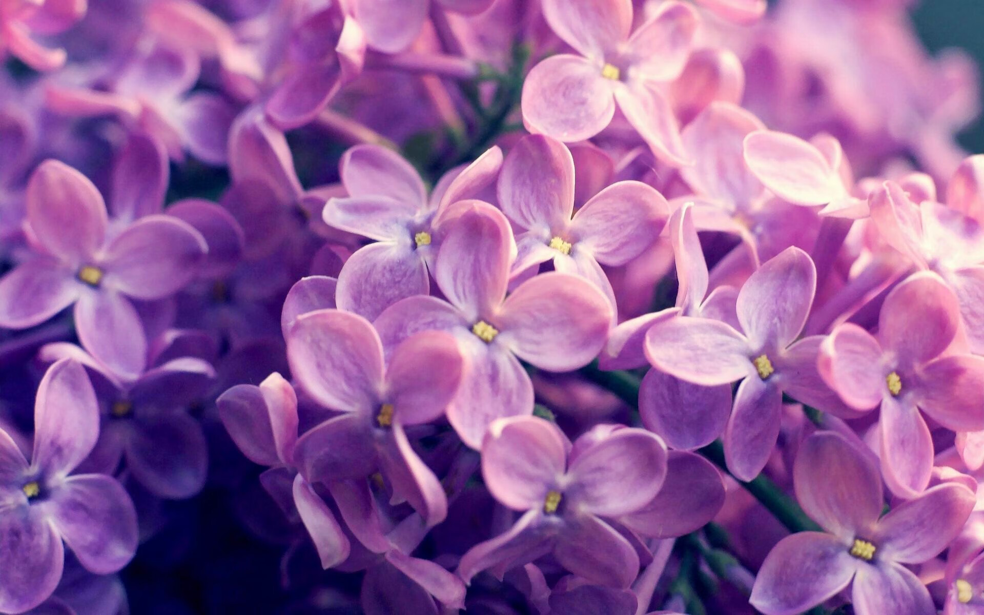 穆勒关键节点三连击点燃奇迹，摩纳哥小城球队终结美国不败神话