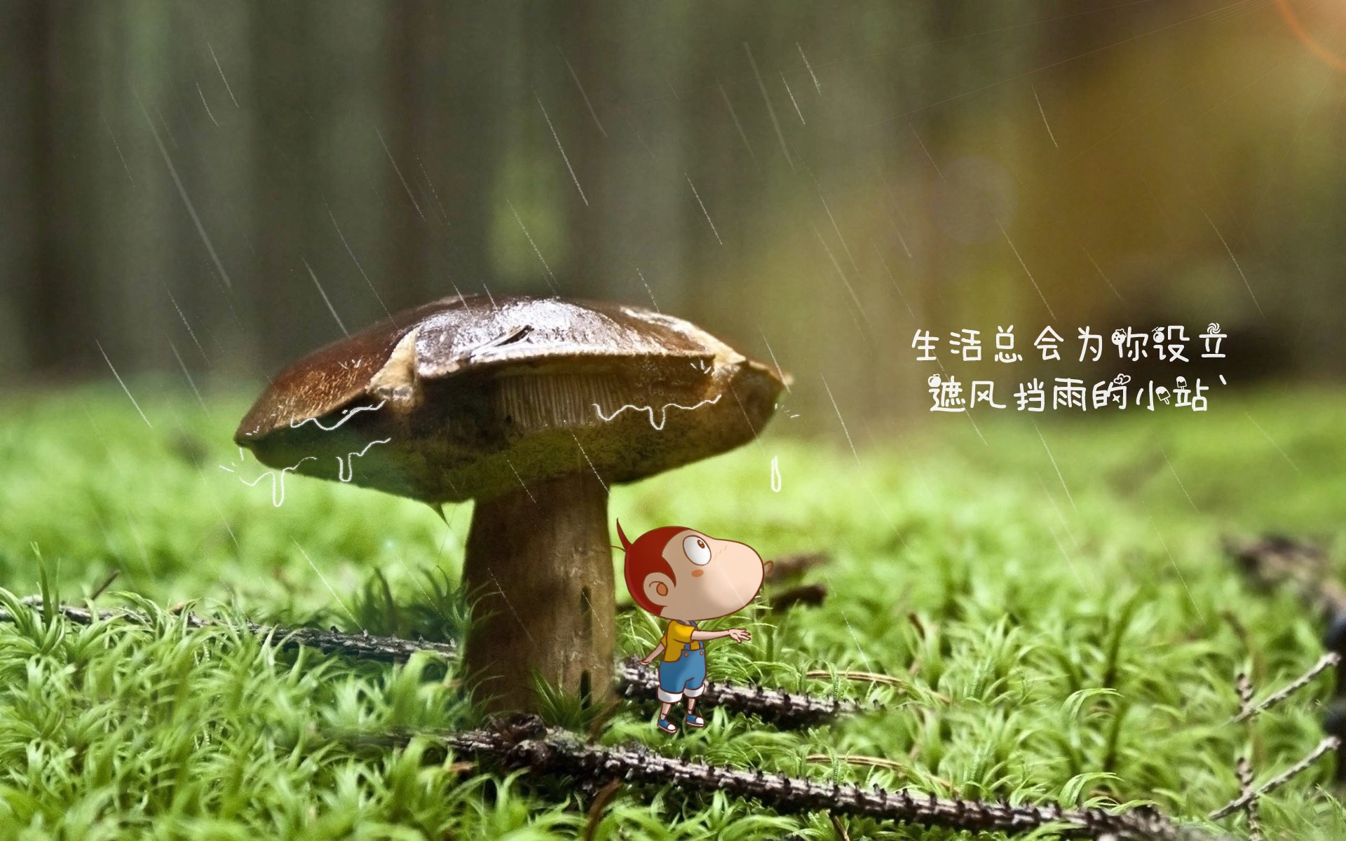 唯一逆转,卡塔尔之夜的闪电锋刃,费利克斯用七秒刺穿泰国王朝