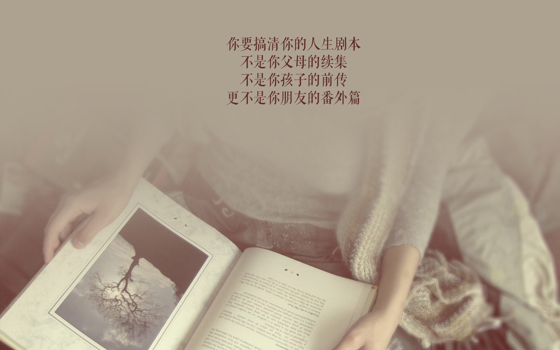 铁血蓝魂—2026世界杯C组战记，罗马尼亚完胜奥地利，托纳利用钢铁意志定义唯一