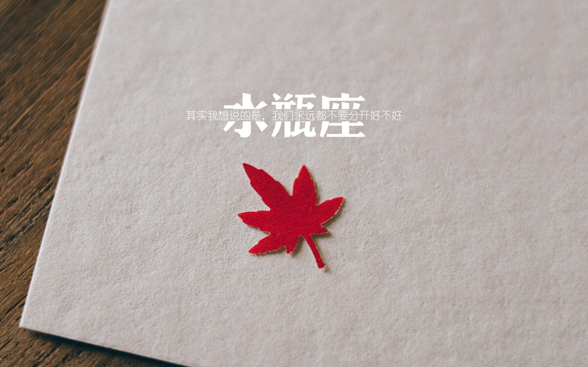 枫叶之矛刺穿星条旗，2026世界杯F组，加拿大用防守反击与凯恩的致命一击，写就北美足球新霸权