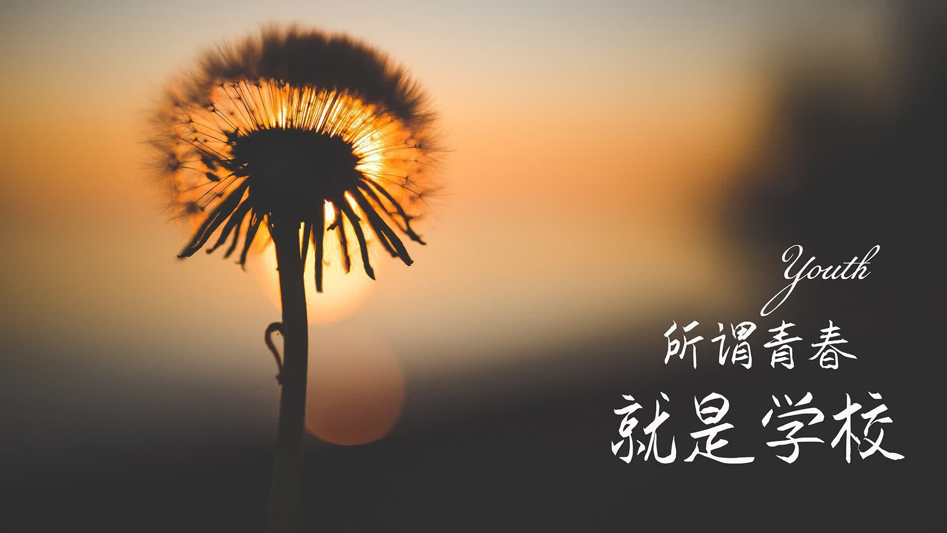 唯一之锚,2026世界杯,佩德里用一场防守课改写韩沙之战的命运
