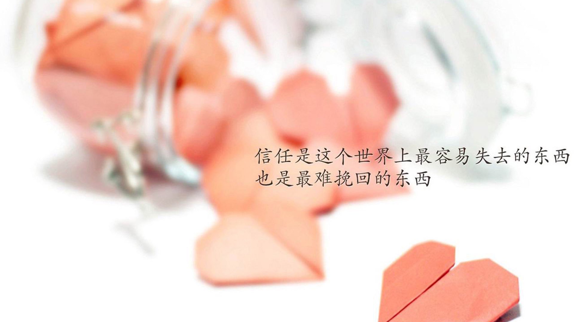 孤星独耀,2026世界杯G组战场,日本横扫比利时,努涅斯用一个人的锋芒刺破历史